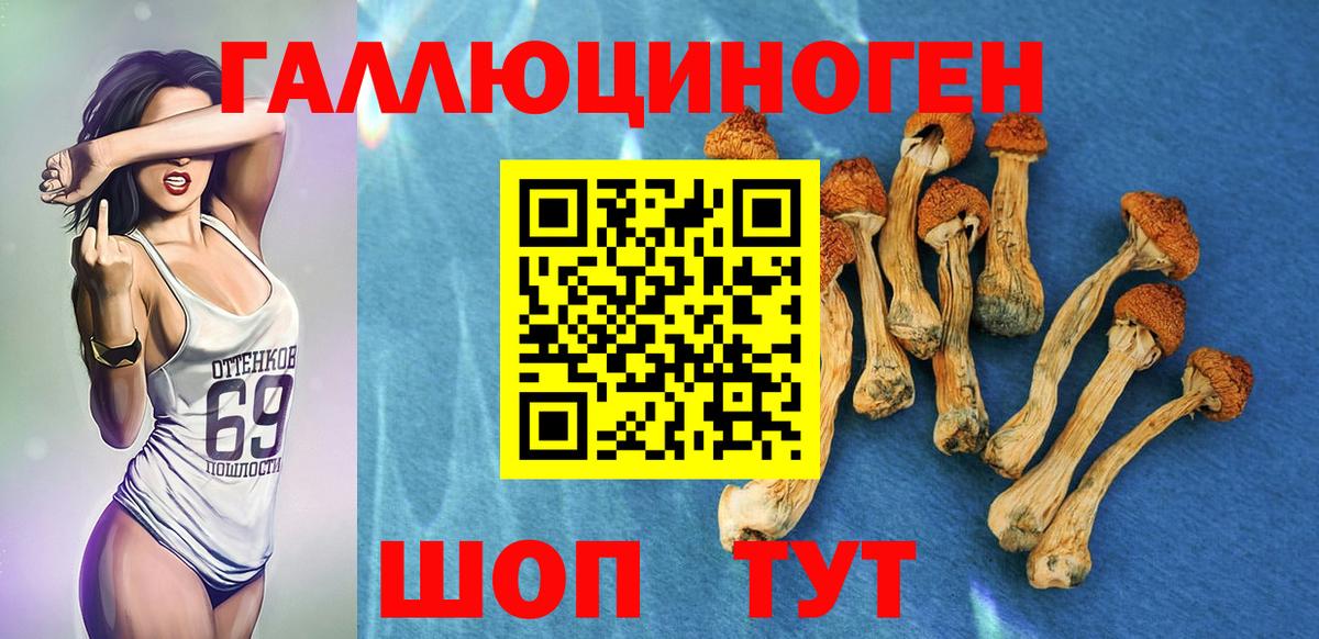 Псилоцибиновые грибы мухоморы  Вход с VPN  Кировск  Галлюциногенные грибы Psilocybine cubensis 